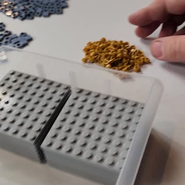 Bricklink Order#2 Shorts