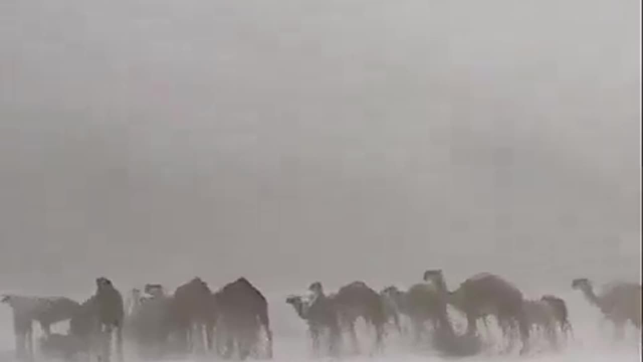 Hailstorms turns the Saudi desert white