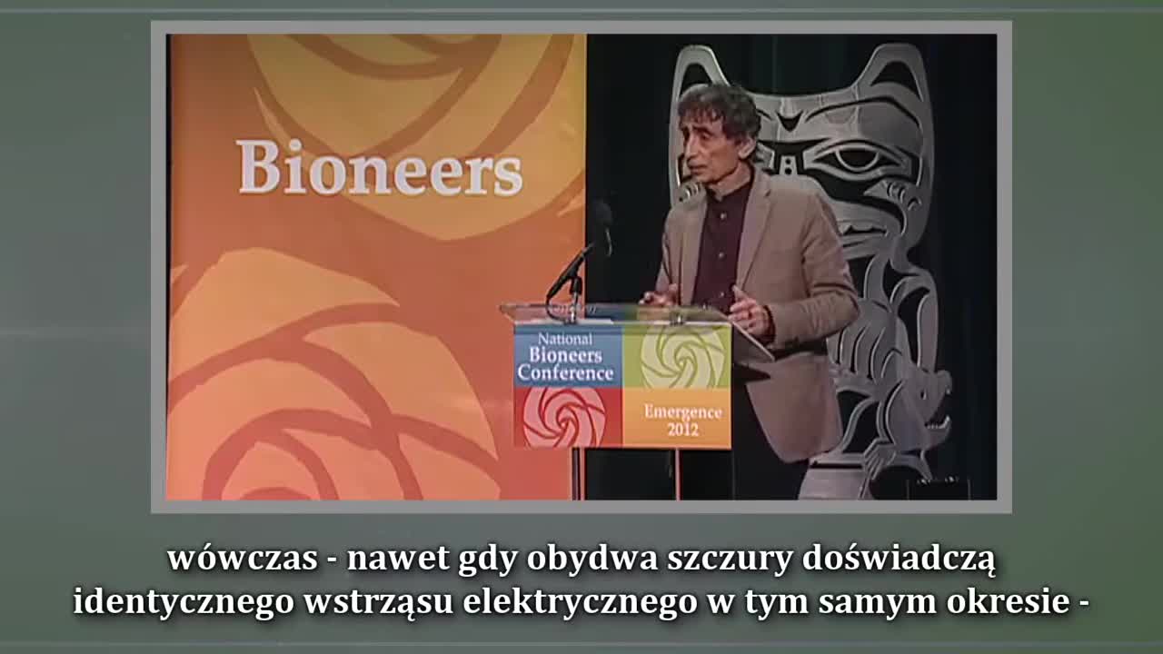 Toksyczna kultura: co z nami robi materialistyczne społeczeństwo ~ Dr Gabor Maté