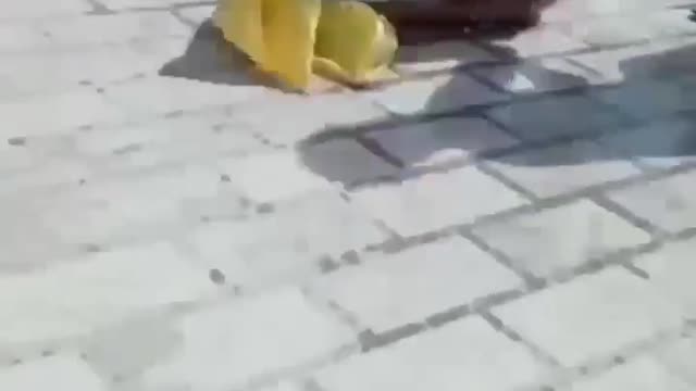 Cold water 🥶with prank friend 😂🤣