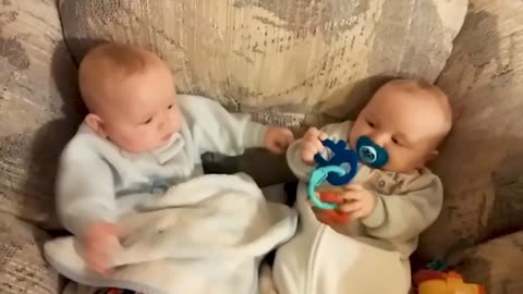 funny babies