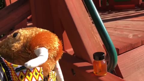 Herpi The Woke Walrus Gives A Tour of His School