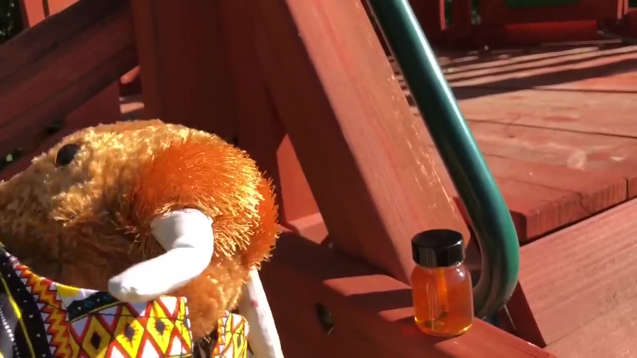 Herpi The Woke Walrus Gives A Tour of His School