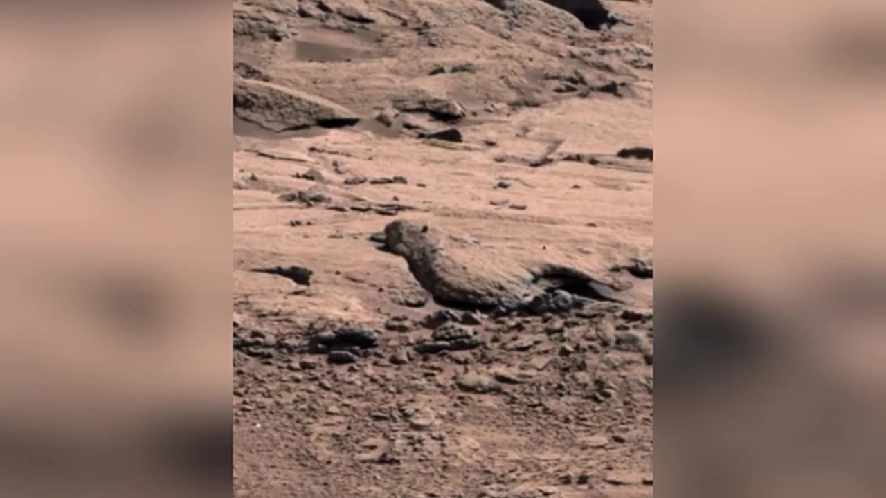 Whats is happening in mars