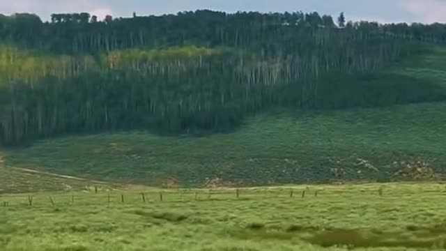 If you say so… nature