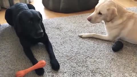 Olive and Mabel