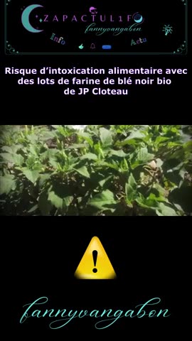 De la farine de blé noir bio contaminé à la Datura un hallucinogène