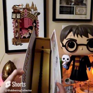 Whose Wand Did I Get?! #harrypotter #wands #wizardingworld #spinmaster