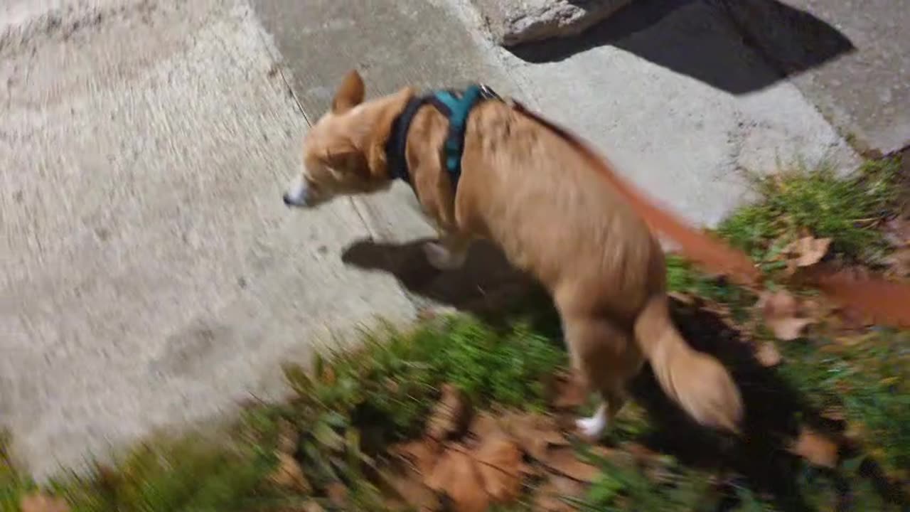 2023-02-08 (1) - On sort QUI ? - Twitch Meutemediatique