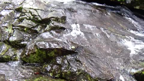 Cascades