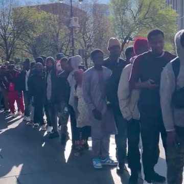 Cientos de inmigrantes ilegales reunidos frente al Ayuntamiento de Nueva York.