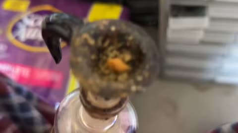 Day 13 pt2 I had a Texas margarita with lunch :)