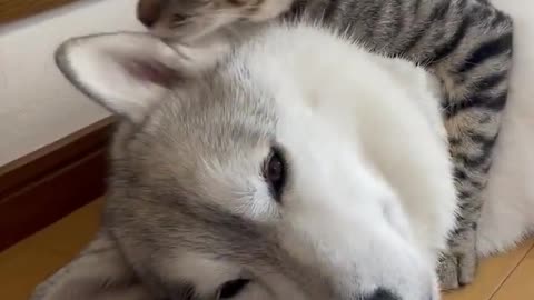 Besties