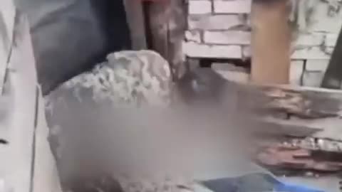 ΑΓΡΙΟ ΚΑΨΩΝΙ σε Ναζί του Αζόφ!!!