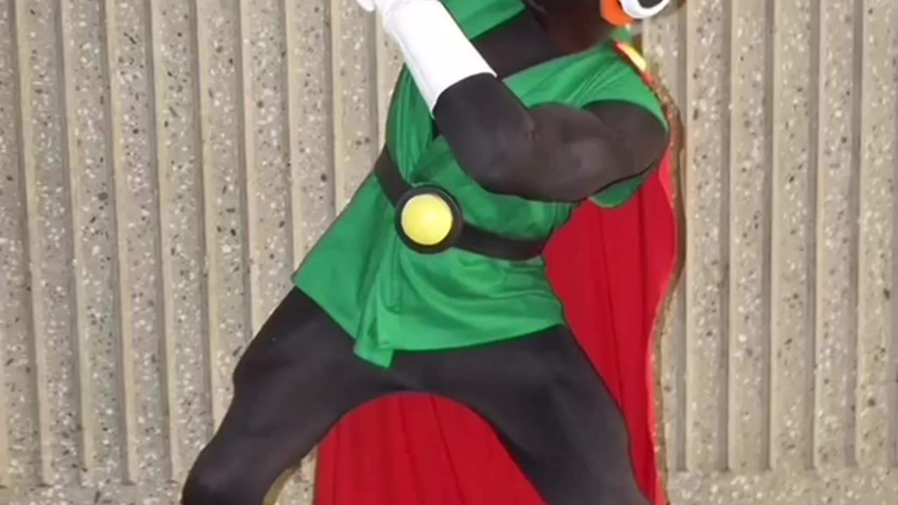 The Great Saiyaman