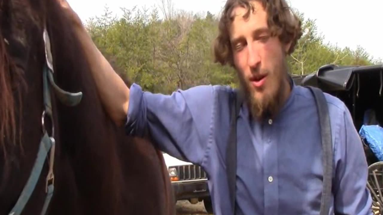 Horseshoeing 101 with Titus Morris