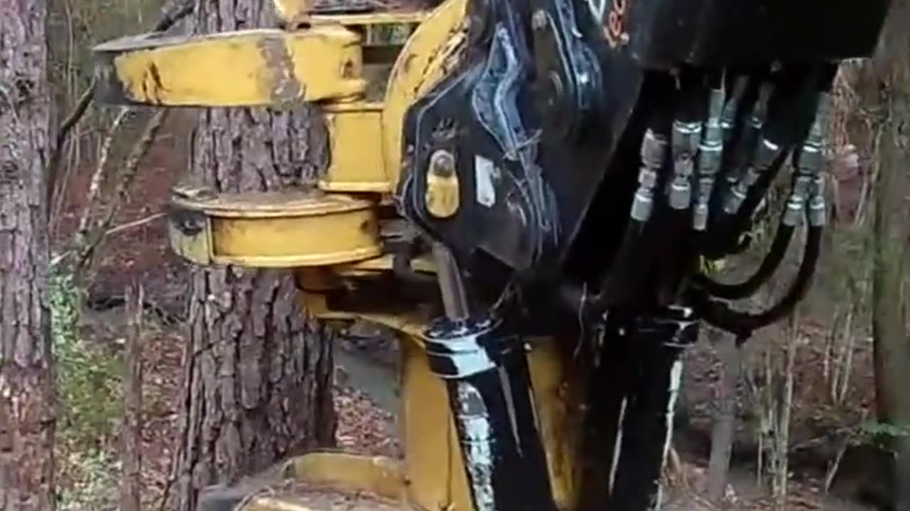 POWERFULL TREE CUTTER