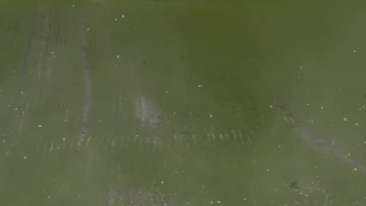 New Ukrainian XXL Quad Drones are on Another Level