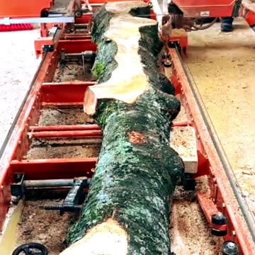 APESP - SHORT - Aproveitamento da MADEIRA