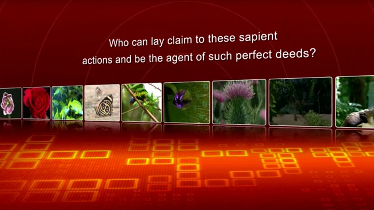 Chapter 18- The Proof of the Perfection in Actions - Questions on Islam