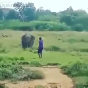 He said he was the "Elephant Whisperer"