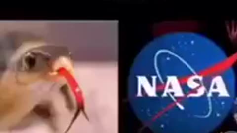 Fake Nasa the 666 Evil Lucifer Freemasons