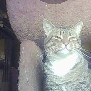 EA S107 - After Training