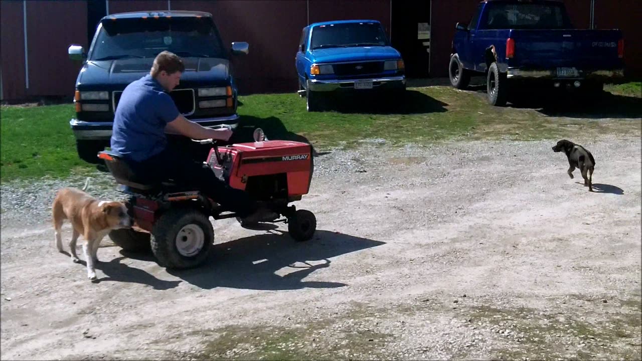 The Best Lawn Mower Wheelie Ever.