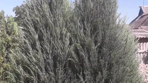 Happy Wednesday friends