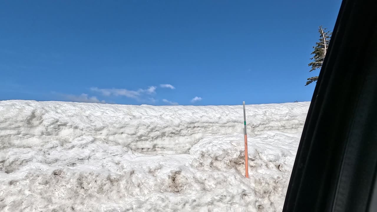 Take a drive with me, Harvey and Clyde to Paradise, in Mt. Rainier National Park