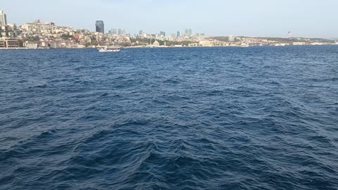 The beauty of the sea with seagulls watching from the ship