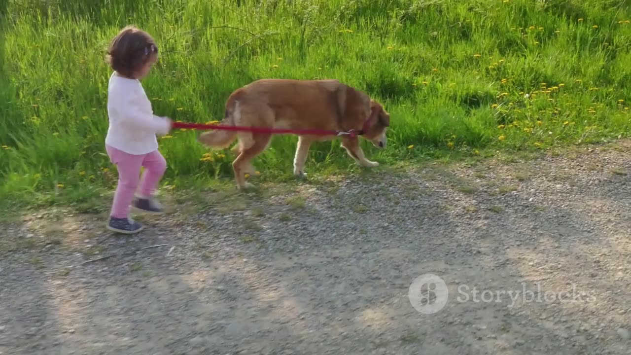 A Girl and Her Dog: A Tale of Unlikely Love #lovestory #dogstory