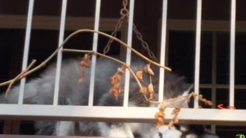 Fall Pruning & Biting!