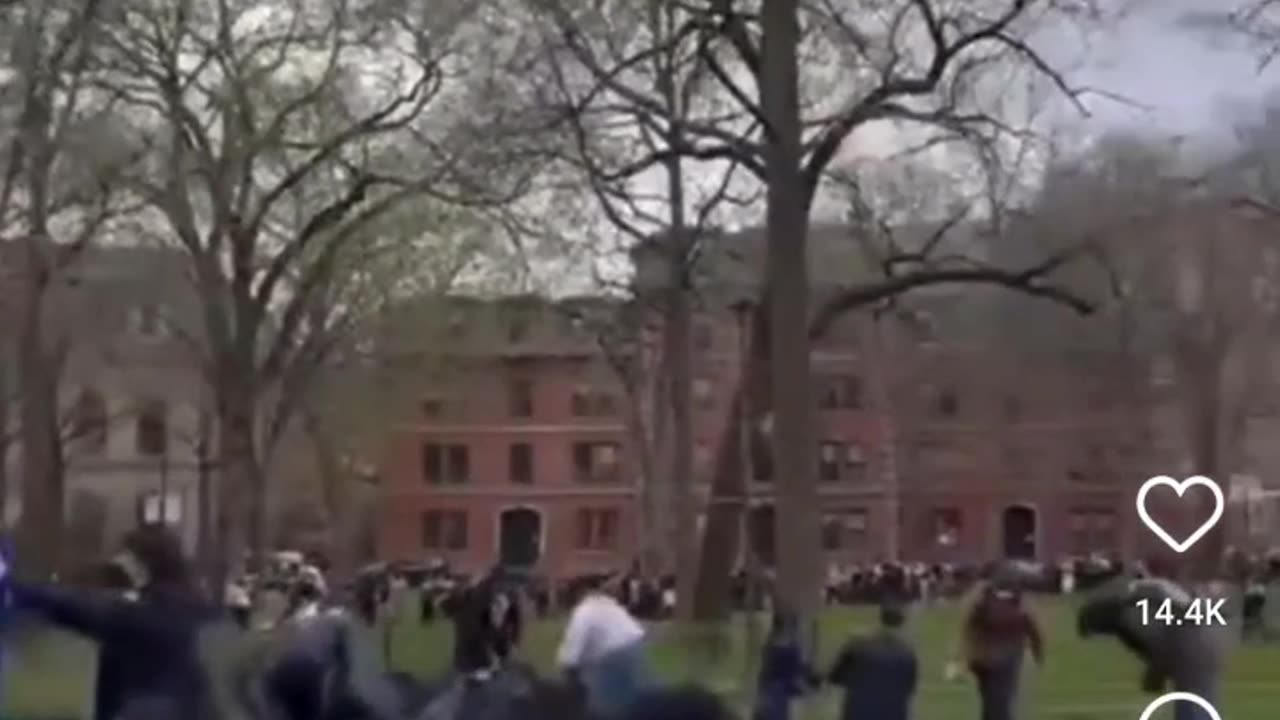 Harvard has been infiltrated.