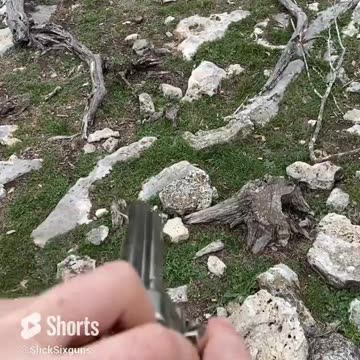 POV Colt Single Action Army .45LC #wildwest #gunspinning #singleactionshootingsociety