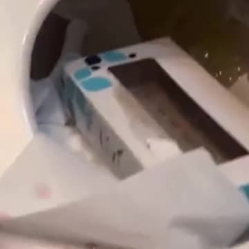 Trans Woman Fails At Trapping A Guy #shorts #tiktok #lgbtqia