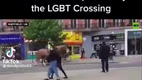 Police Horses are intelligent