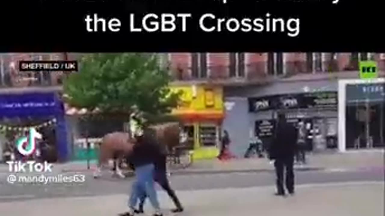 Police Horses are intelligent