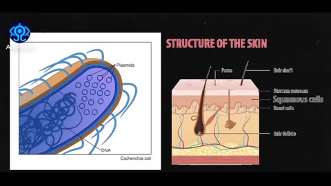 CIA/DARPA Remote Biological Control