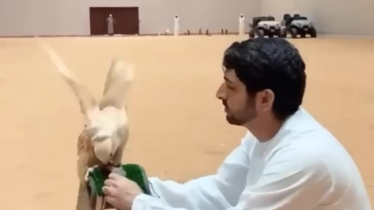 crown prince hamdan fazza love his white eagle