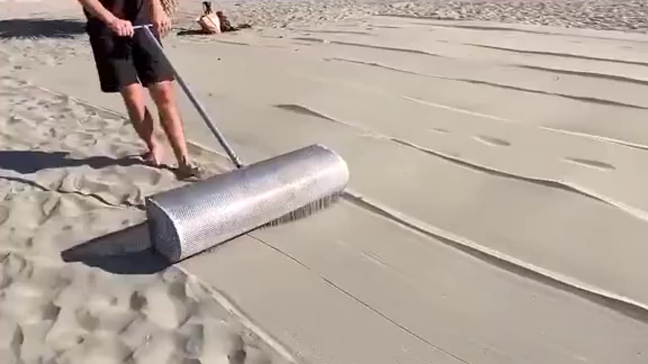 Treasure hunting on the beach