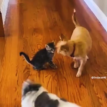 reason to smile because we already have to cry 22