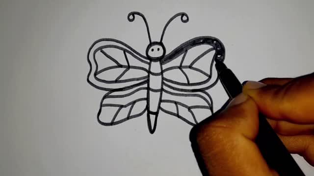 butterfly drawing