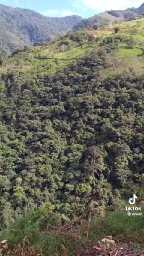 Columbian town travel via Zipline.
