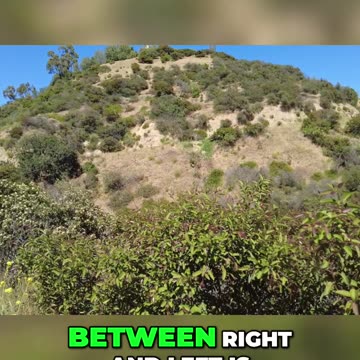 The Impact of Political Ideology on Punishment Preferences and Social Norms