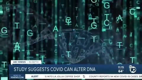 DNA modification