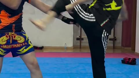 Kicking Techniques