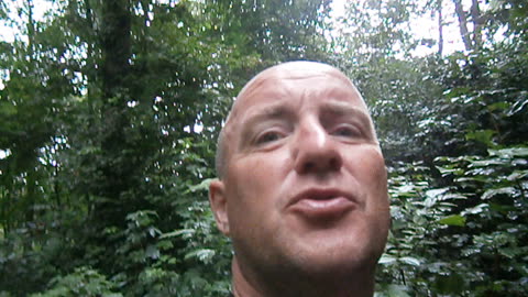 Skogen, Fredriksdal, Helsingborg 8 Aug. 2013