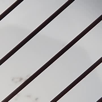 It was the hookah caterpillar! | Why does she keep looking at me like I'm stupid!?