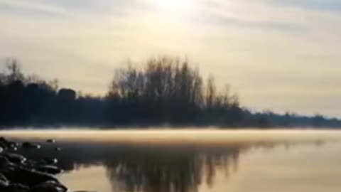 MUSIC PIANO SOUNDS TO RELAX, REST, STUDY